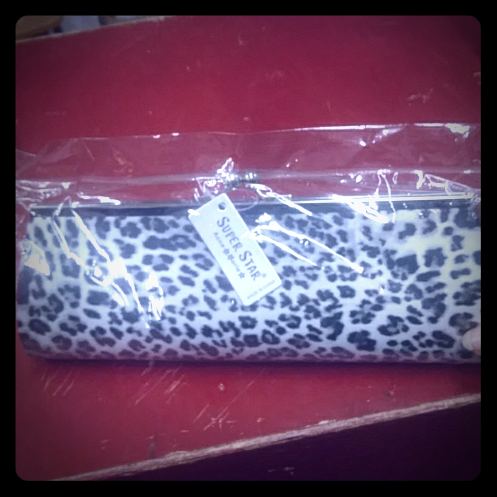 Small Wristlet/Clutch Purse NWOT